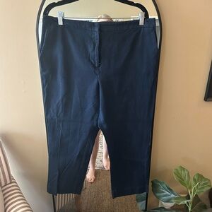 Ann Taylor Cropped Chinos